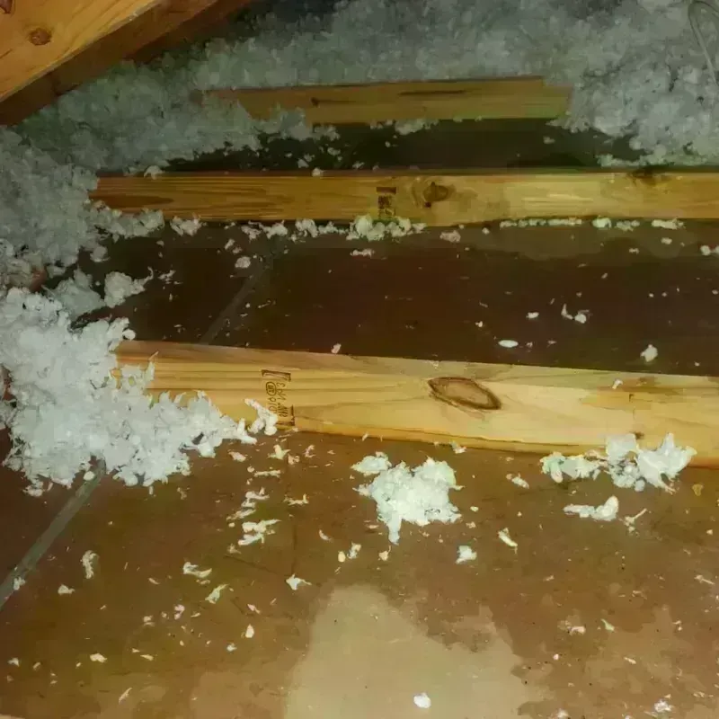 Attic Water Damage in New Lebanon, OH