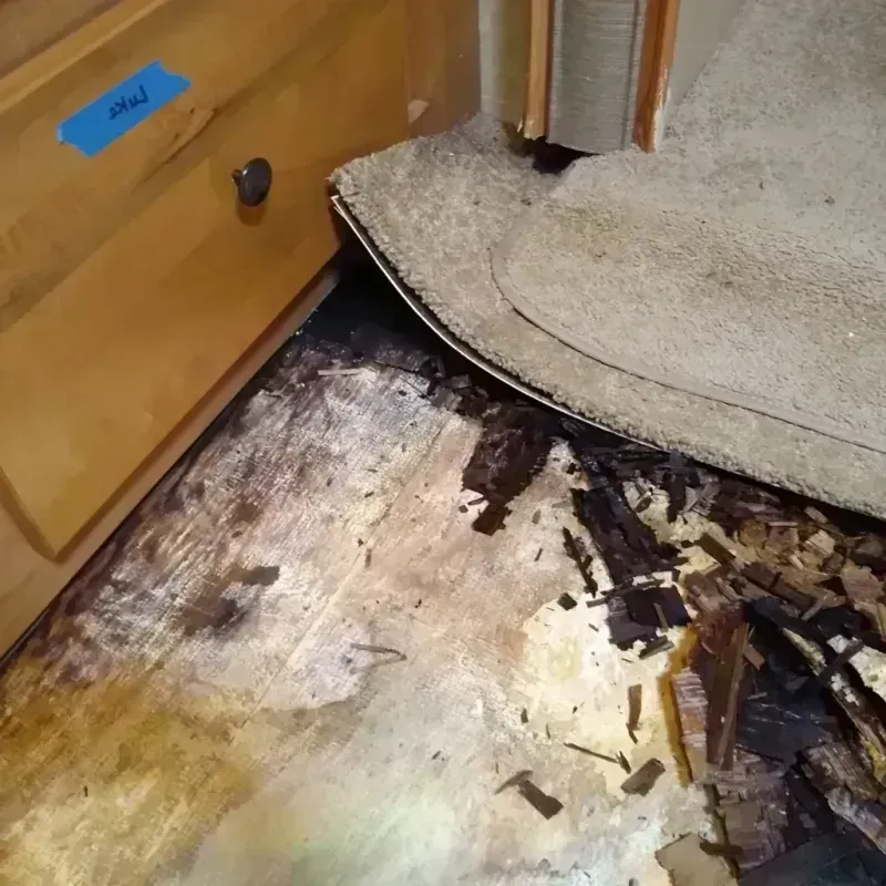 Best Wood Floor Water Damage Service in New Lebanon, OH